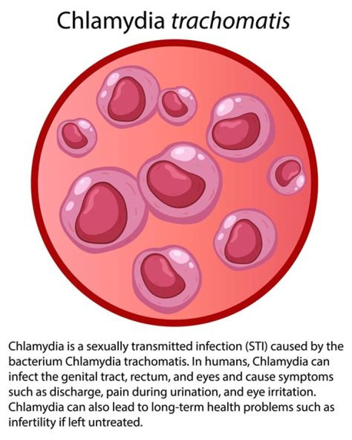How long does it take for chlamydia to go away after treatment?