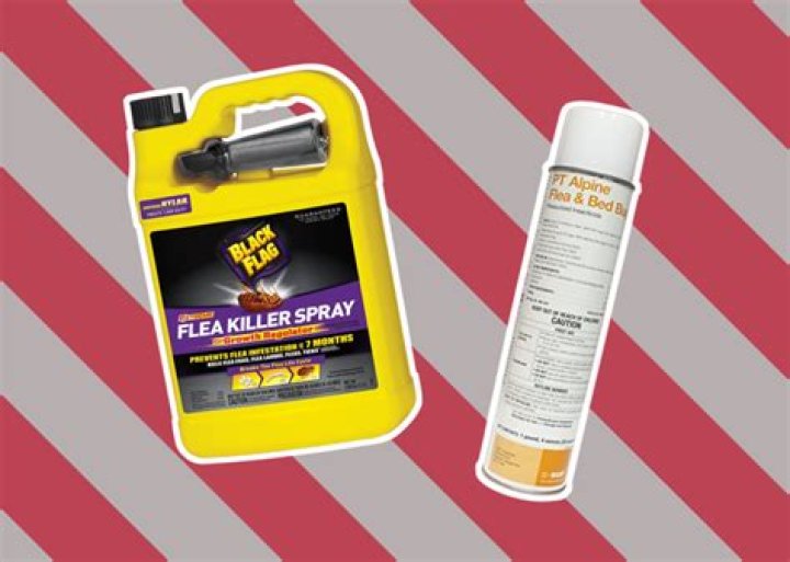 How long does lemon spray take to kill fleas?