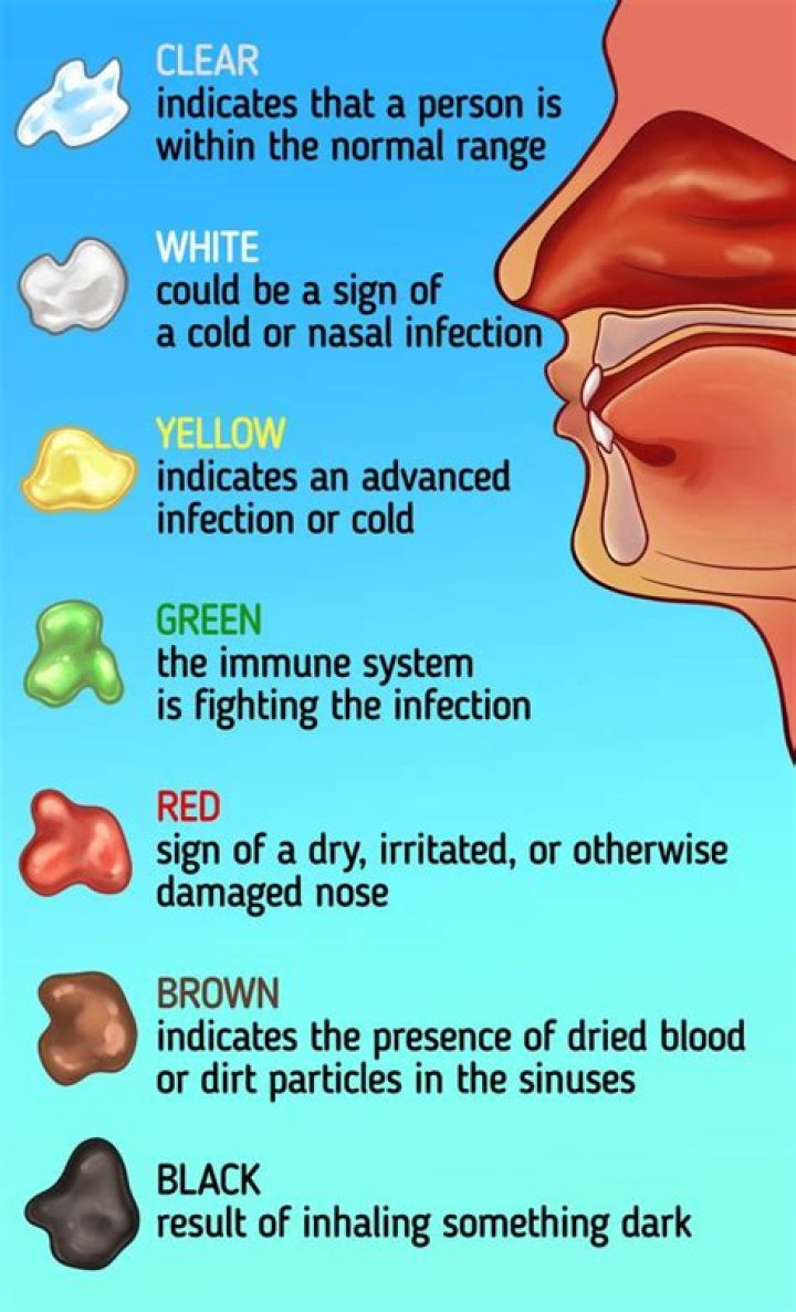 How long does Rhino Snot last?