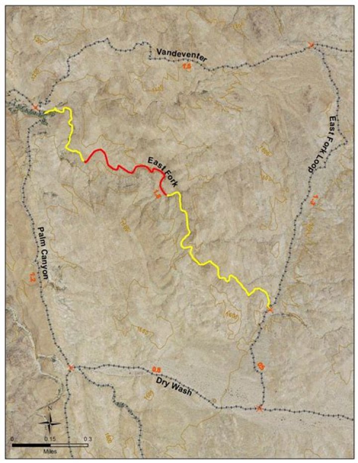 How long is East Fork Trail?