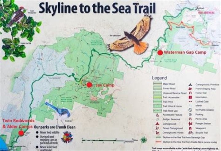 How long is the Skyline to the Sea trail?