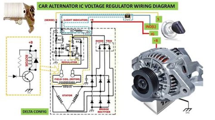 How long should my regulator hose be?