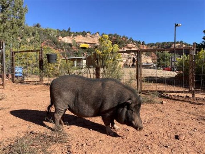 How many acres is Best Friends sanctuary?