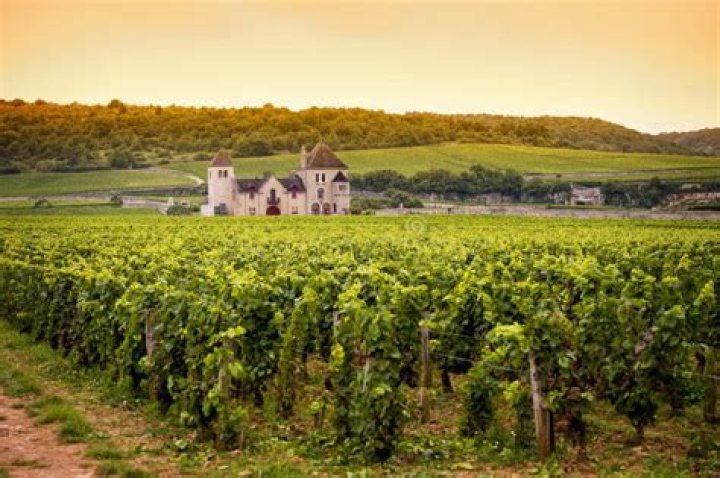 How many acres of vineyards are in France?