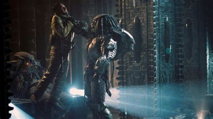 How many AVP movies are there?