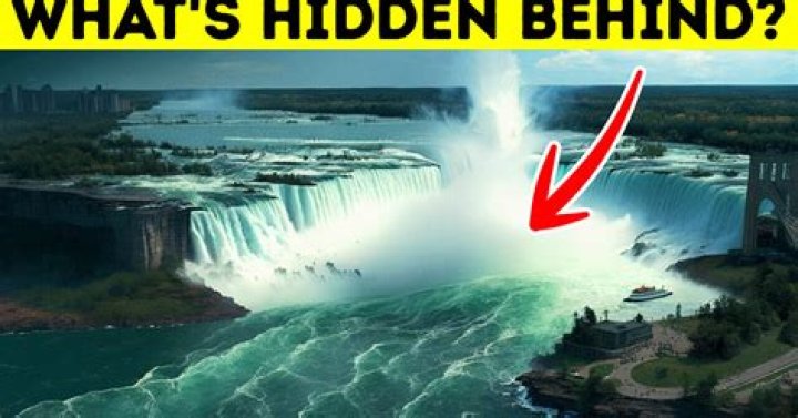 How many bodies were found when they drained Niagara falls?