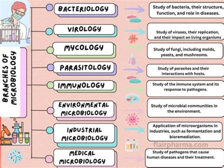 How many branches of microbiology are there?