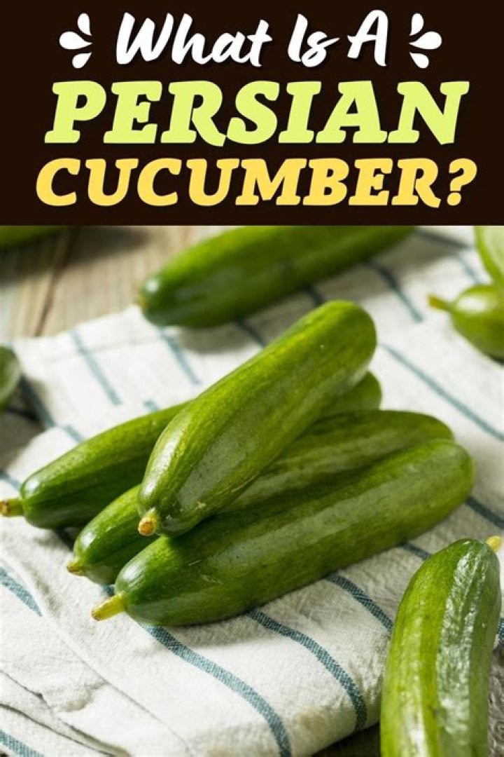 How many carbs are in a Persian cucumber?