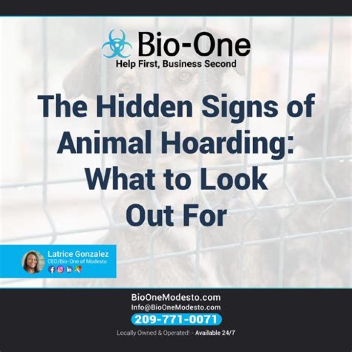 How many cases of animal hoarding?