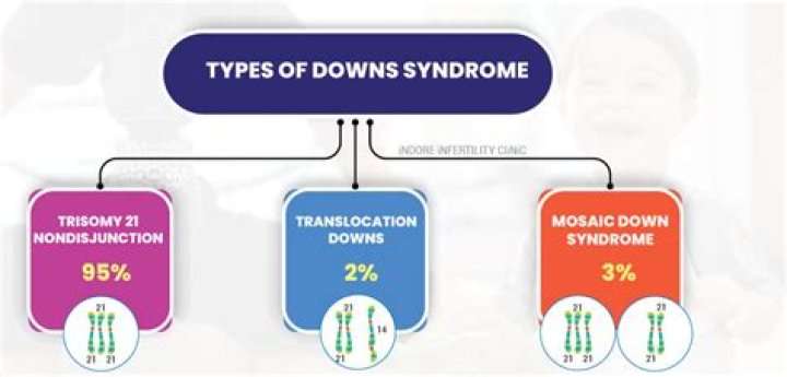 How many chromosomes do Down syndrome have 47?