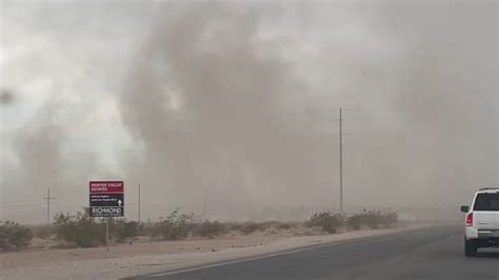 How many Desert Storm vets have died?