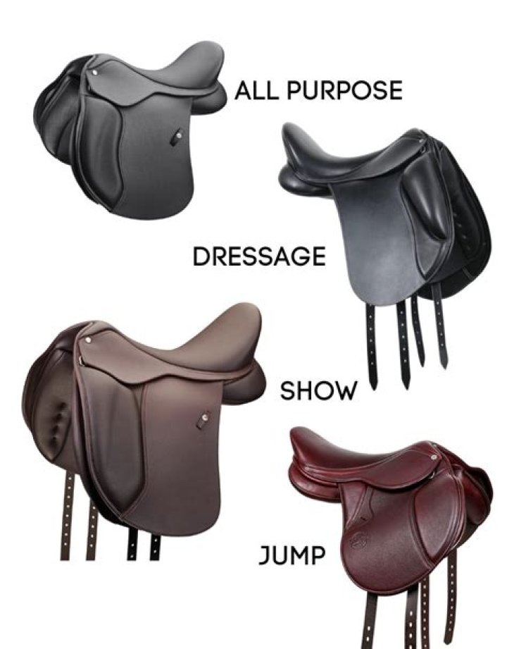 How many different kinds of saddles are there?