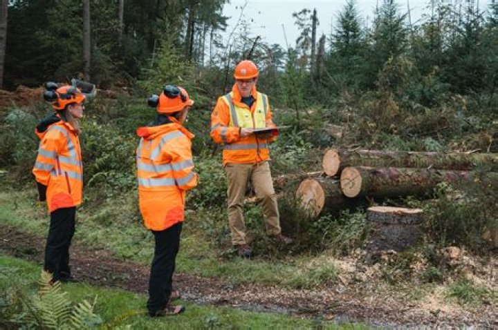 How many forestry workers are there?
