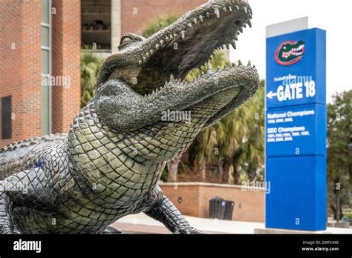 How many Gator statues are at UF?