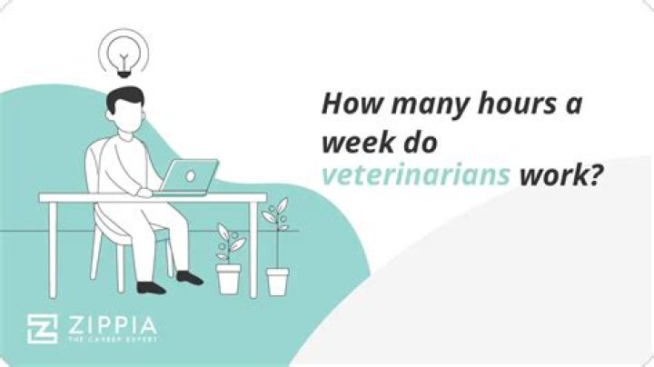 How many hours a day do veterinarians work?