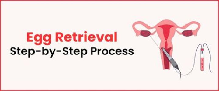 How many is a good number for egg retrieval?