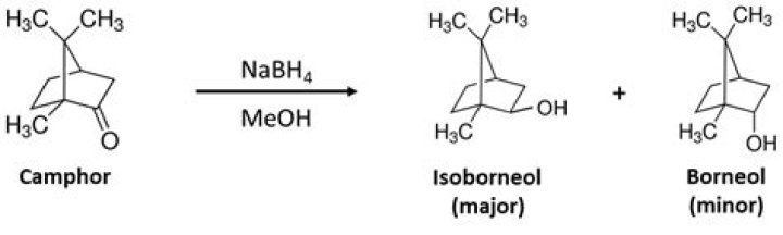 How many isomers of borneol does the reduction of camphor yield?