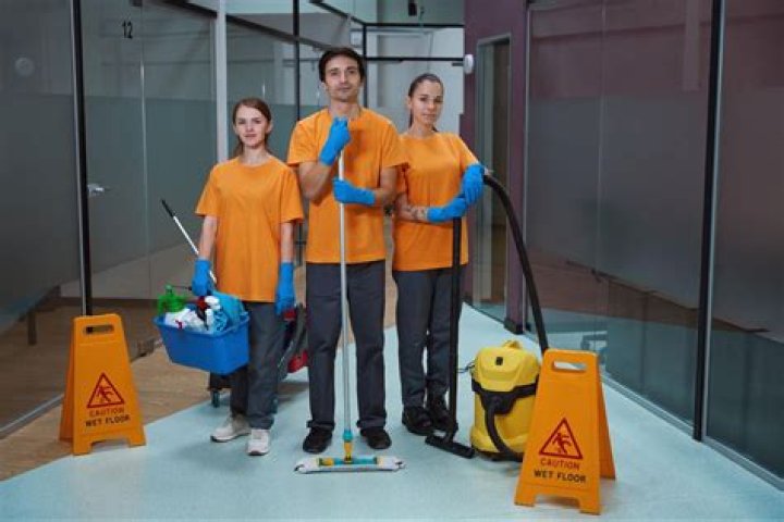 How many janitors are in the United States?