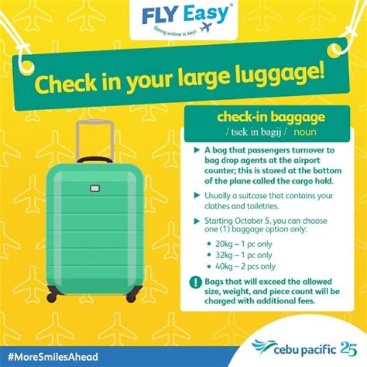 How many kilos of baggage is allowed by Cebu Pacific?