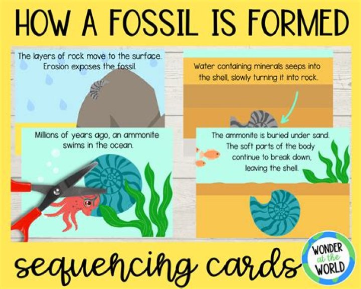 How many locations does Fossil have?