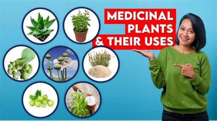 How many medicinal plants are used in Western Ghats?