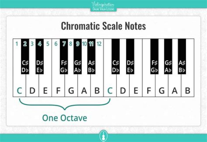 How many notes are in a 1 octave chromatic scale?