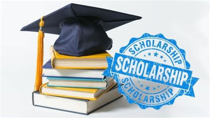 How many NSERC scholarships are awarded?