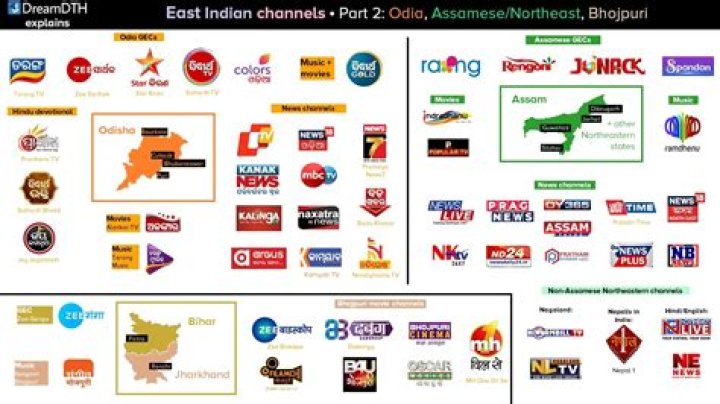 How many Odia channels are there in Odisha?