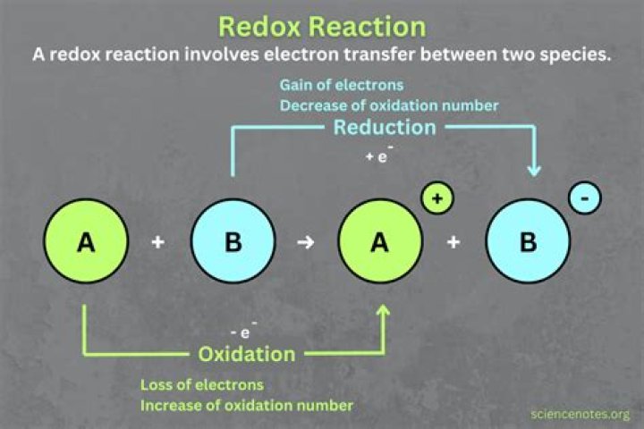 How many reactions does beta-oxidation have?