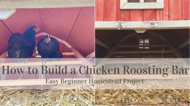 How many roosting boxes do I need for 8 chickens?