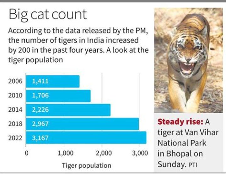 How many sand cats are left in the world 2021?
