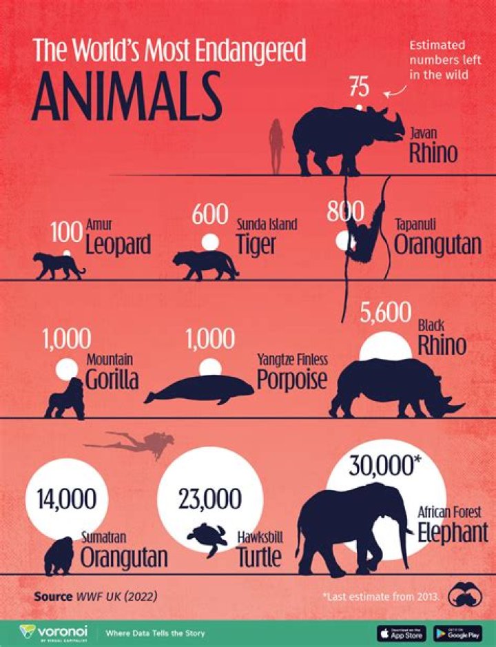 How many species have gone extinct in Madagascar?