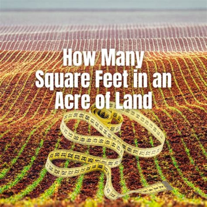 How many square feet do you need for a warehouse?