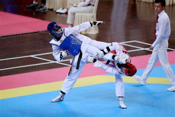 How many styles are there in taekwondo?