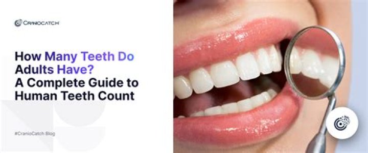 How many teeth are in a full set of mouth?