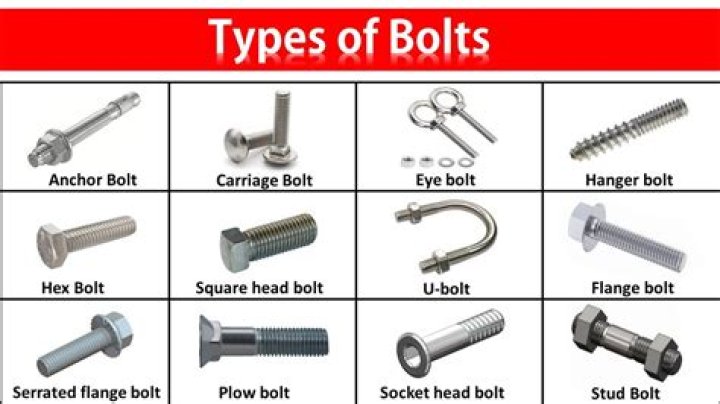How many types of bolt-action are there?
