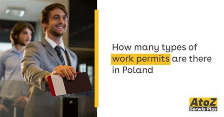 How many types of work permits are there?