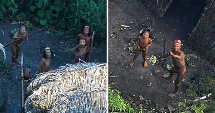 How many undiscovered bodies are there?