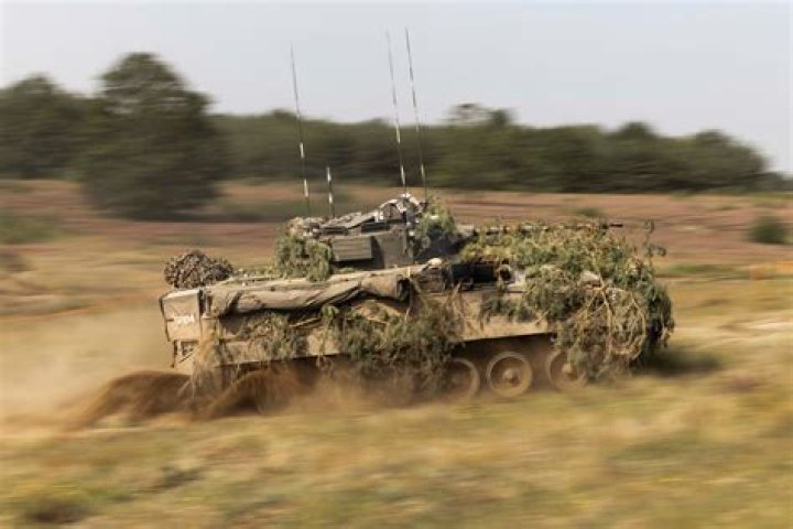 How many Warrior IFV does the British army have?