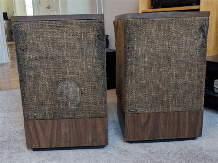 How many watts are Bose 501 speakers?