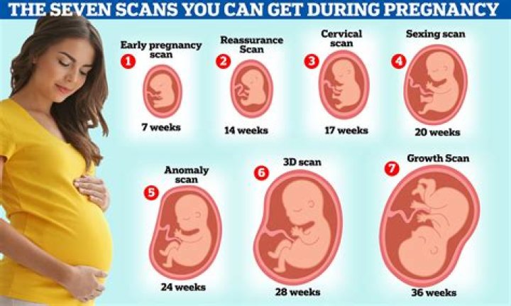 How many weeks is 90 days pregnant?