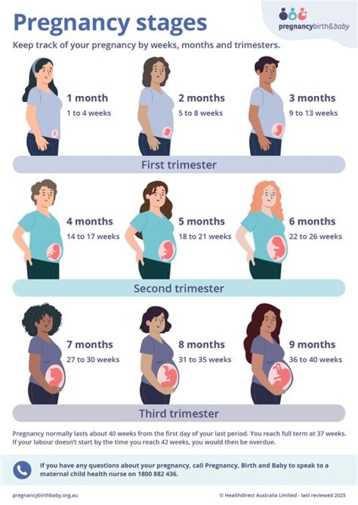 How many weeks pregnant are you after blastocyst transfer?