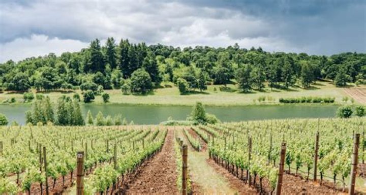 How many wineries are in Leelanau County?