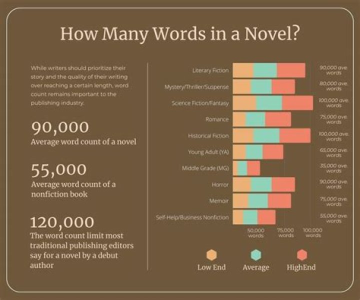 How many words do you write a day in NaNoWriMo?