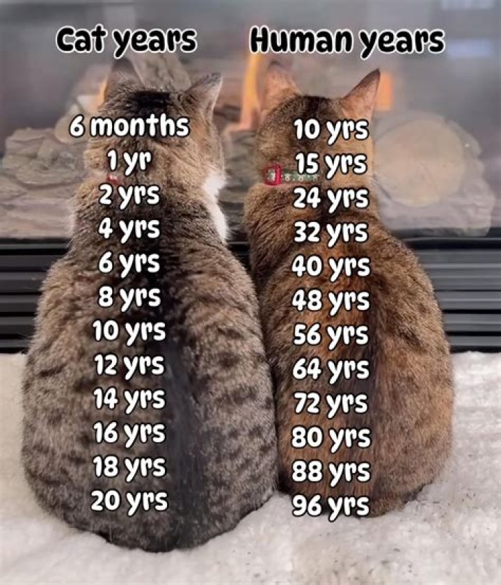 How many years can you get a bursary?