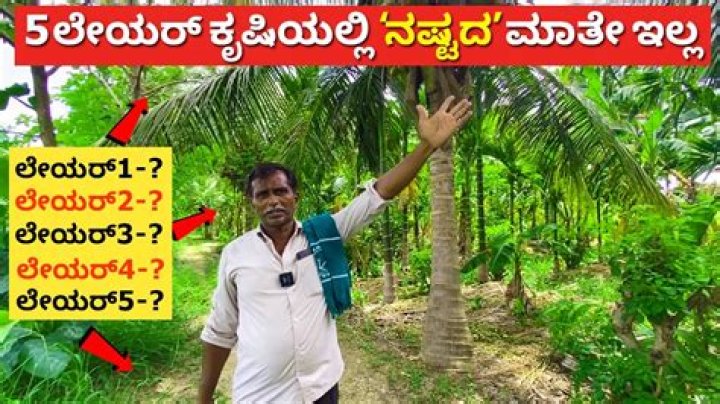 How many years car can be used in Karnataka?