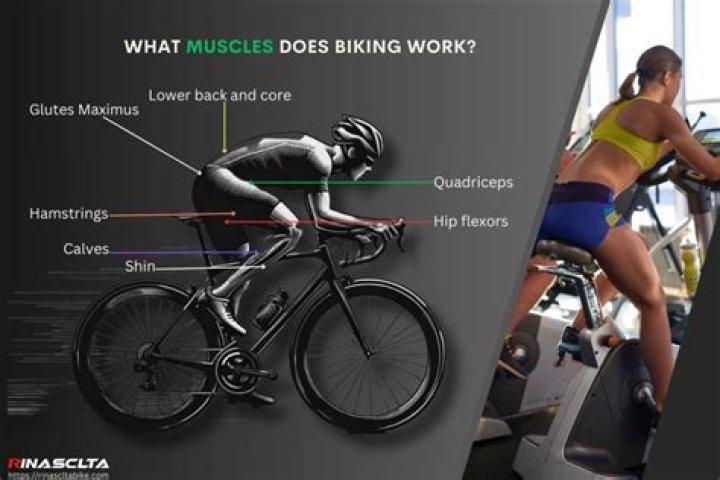 How much CO2 do you save by biking?