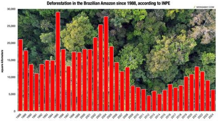 How much deforestation occurred in Brazil?