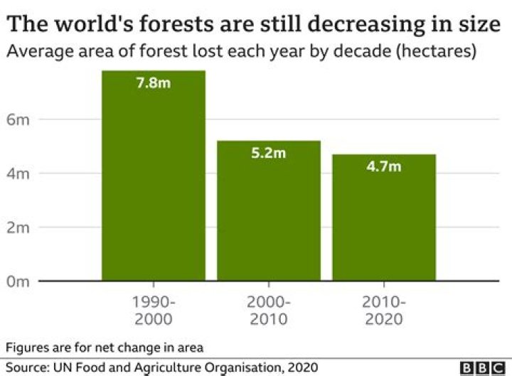 How much deforestation occurs globally each year?