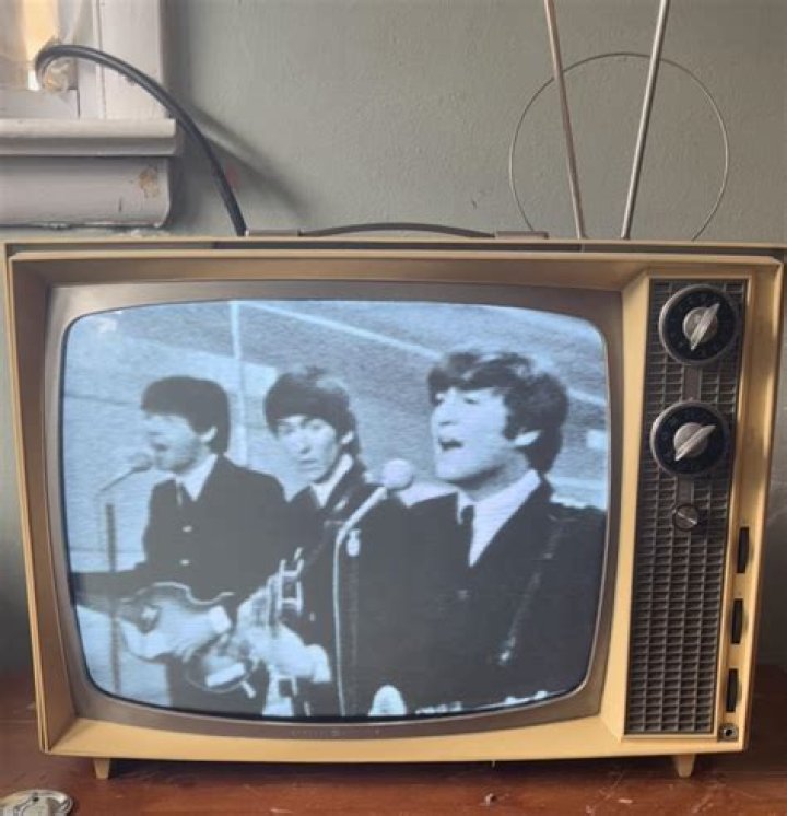 How much did a TV cost in 1977?